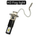 H3 Fogs