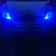 Blue T10 6smd Blue