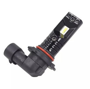 Fog Light Bulbs